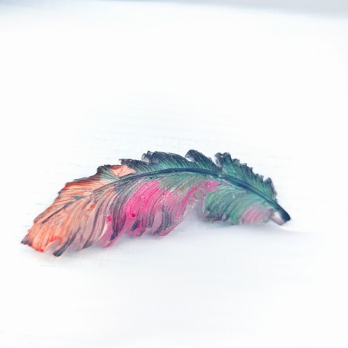 Rainbow feather /25169/