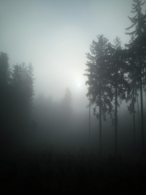 Možná