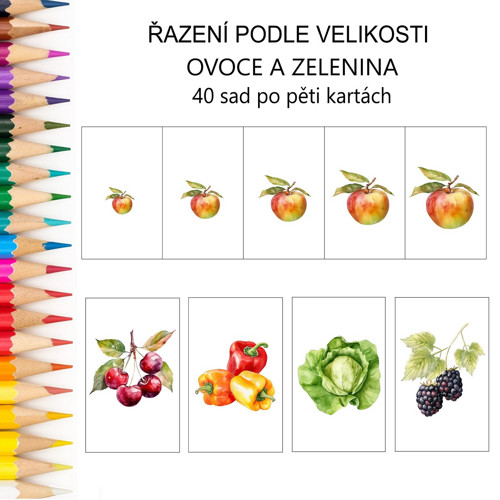 Řazení podle velikosti OVOCE A ZELENINA - 38 druhů