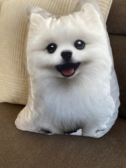 Polštář 3D - Pomeranian pes