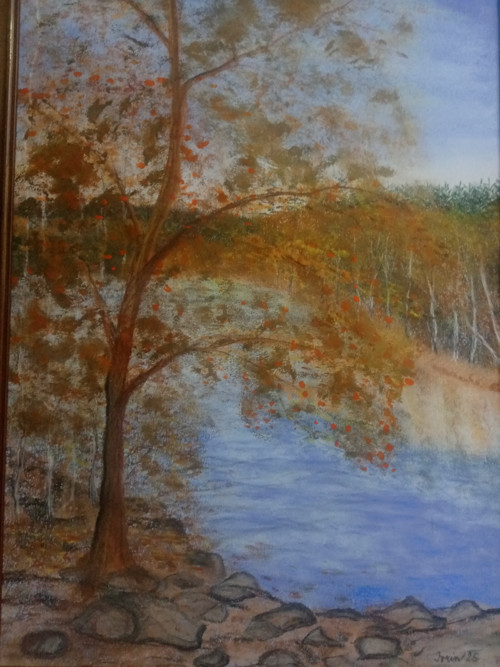 Vybarvený