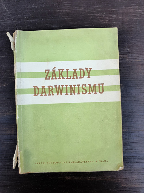 Základy darwinismu