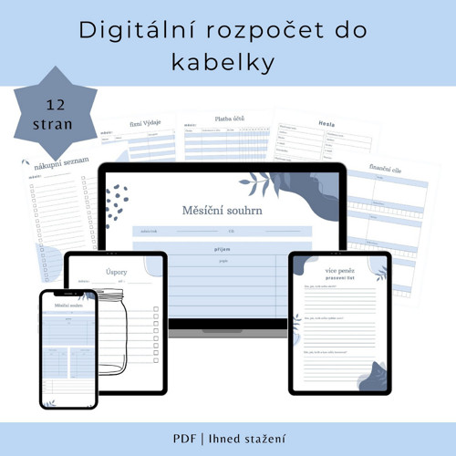 Digitální rozpočet do kabelky