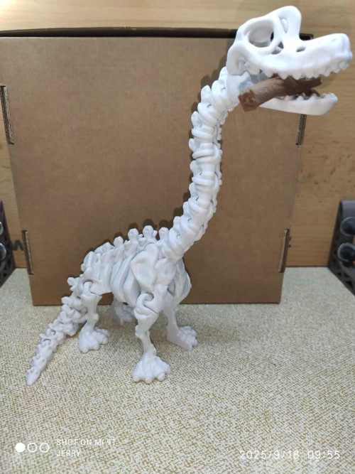 Kostra Brachiosaura
