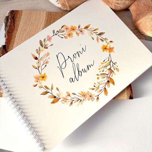 První album