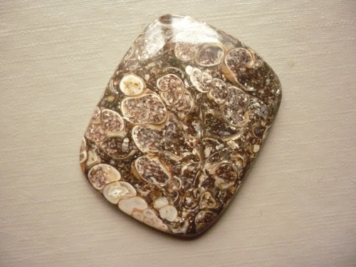 Kabošon - turitella 34 mm, č.38f