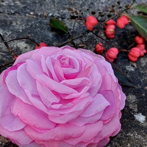 Rosé 1průměr 11 cm