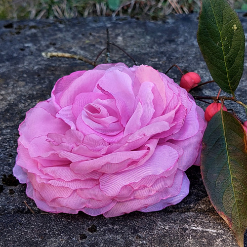 Rosé 2 průměr 11 cm