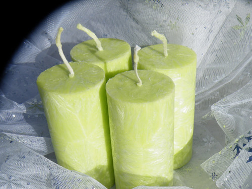 Na věnec ø 4,6 ↑9 cm 4ks PALMOVÉ BEZ VŮNĚ S. zelen