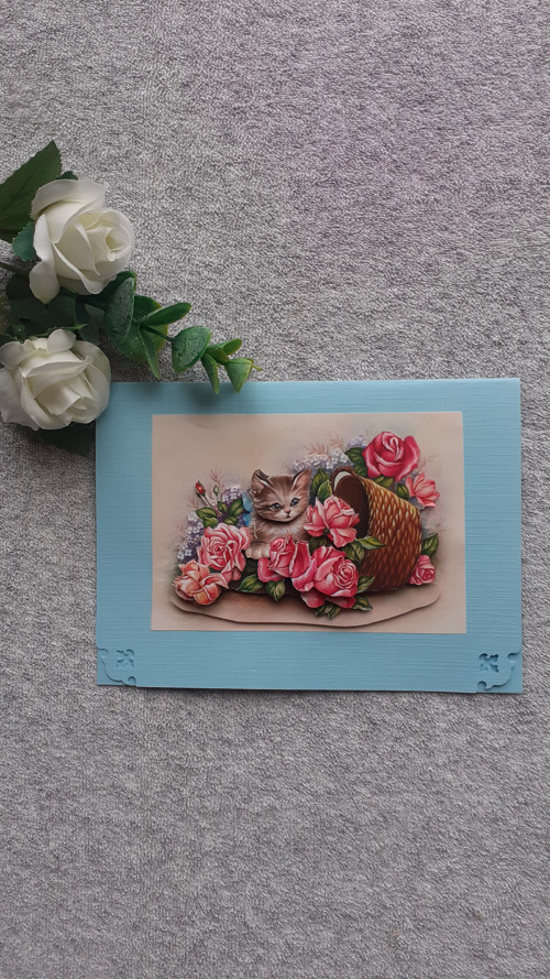 3D přání kočička