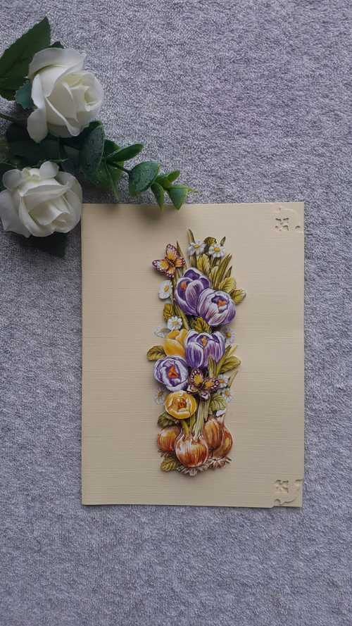 3D přání -krokusy — foto 1