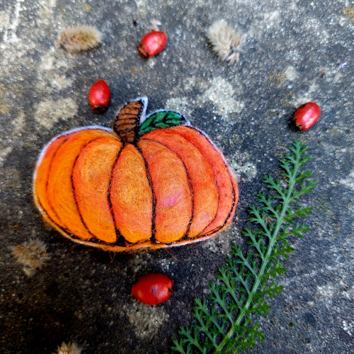 Pumpkin — foto 1