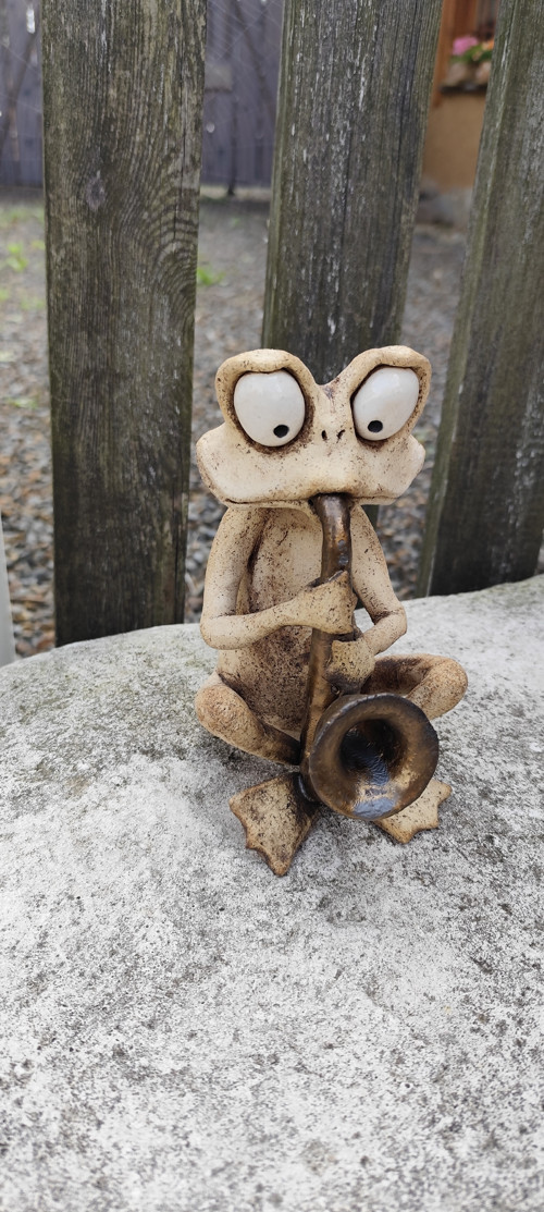 Žabák muzikant - saxofon — foto 1
