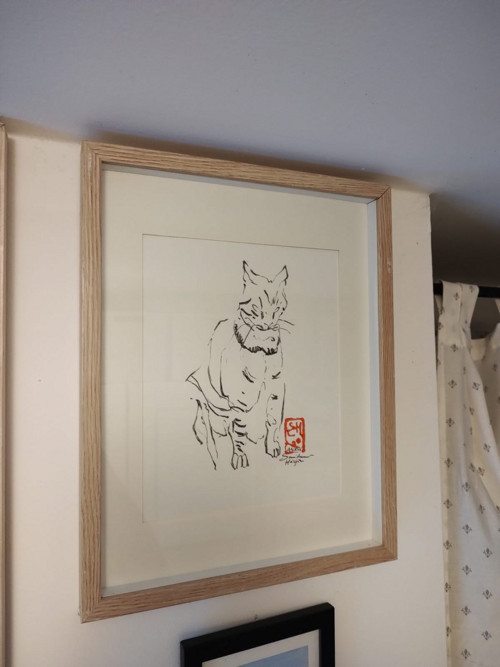 Originální kočičí perokresba