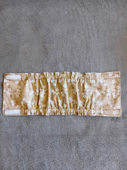 Pás pro psa