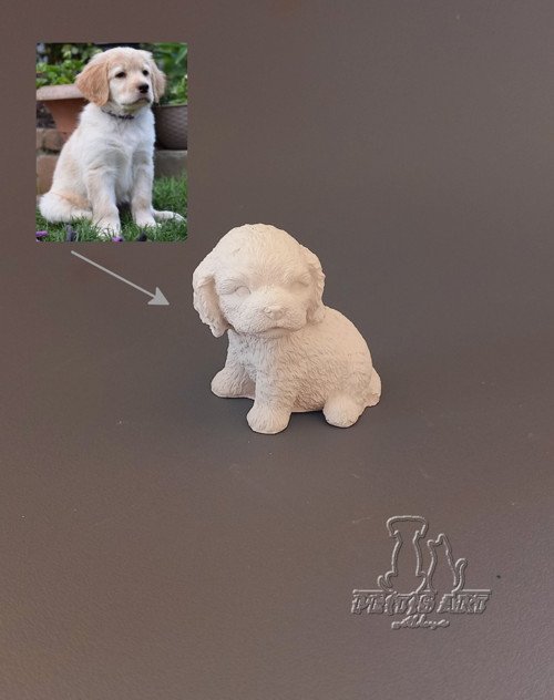 Podle Vaší fotografie - Štěňátko malé