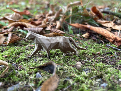 Kočka polygon bronz — foto 1