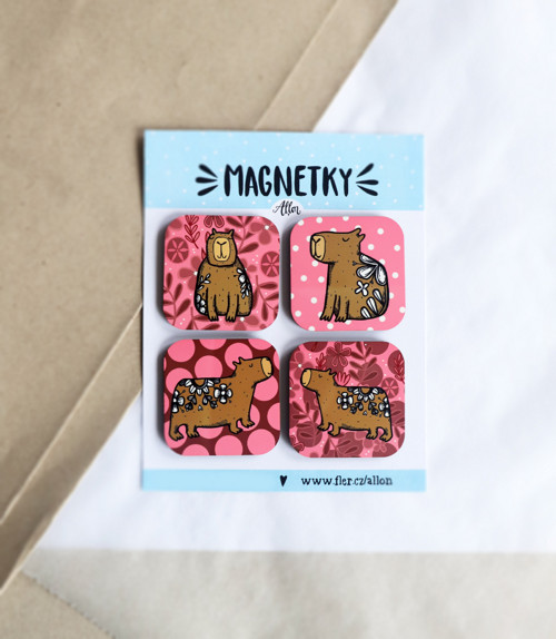 Sada magnetek - Kapybary