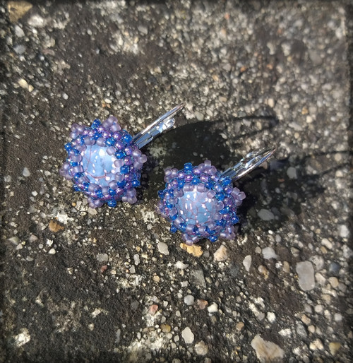Borůvkové potěšení — foto 1