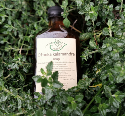 Ožanka kalamandra sirup