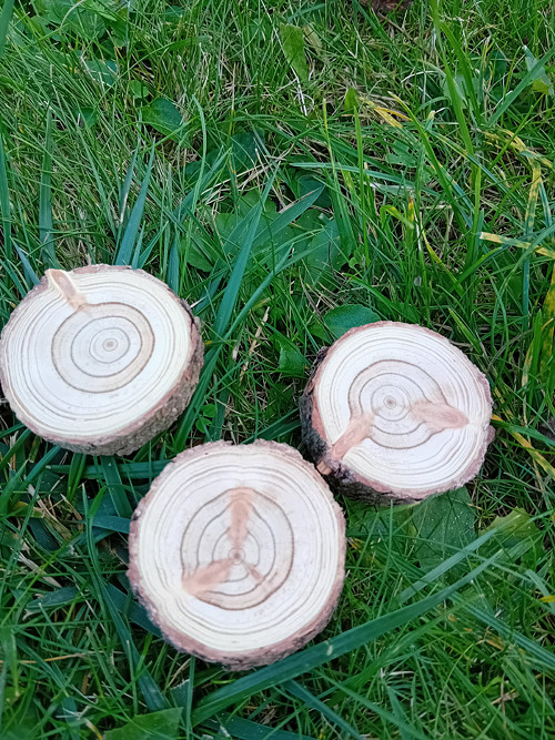 Nejspíš bluma 1