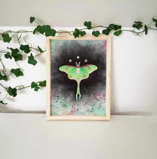Luna moth