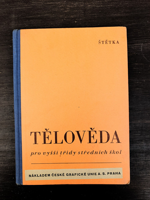 Tělověda — foto 1