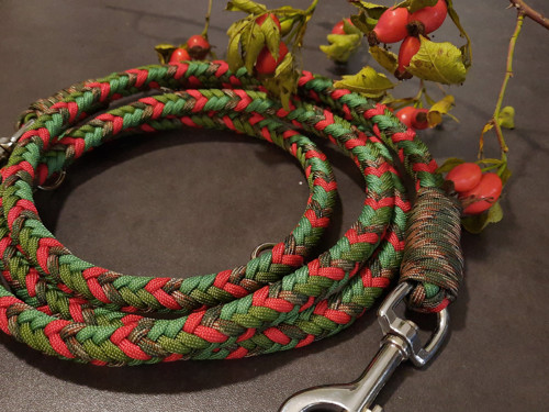 Vodítko přepínací paracord 2m