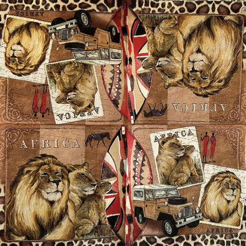 Afrika — foto 1