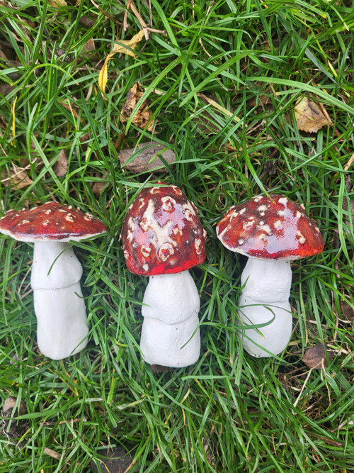 Muchomůrky — foto 1