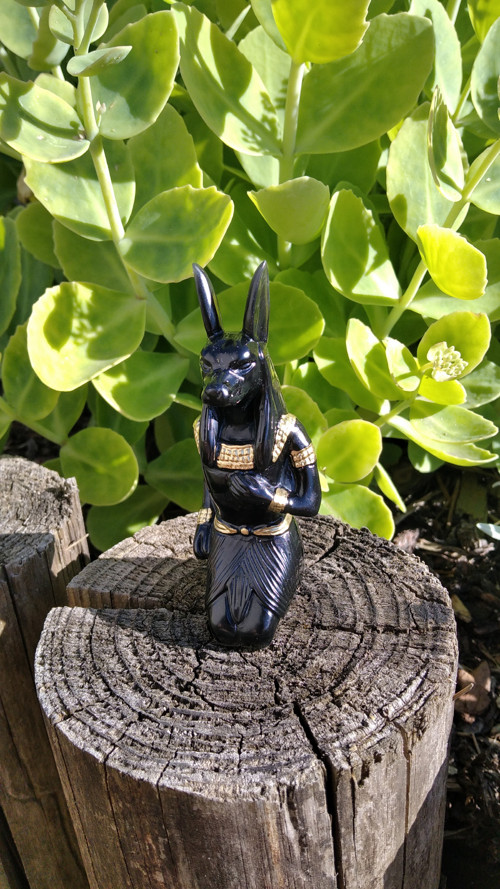 Anubis — foto 1