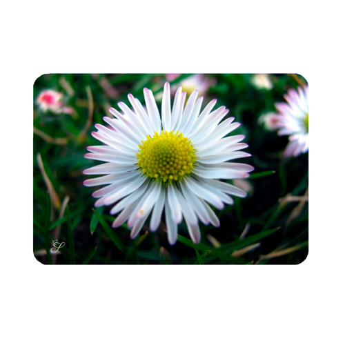 Prostírání Perales– design Bellis
