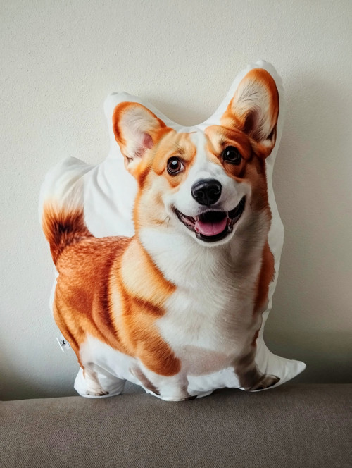 3D Polštář Corgi