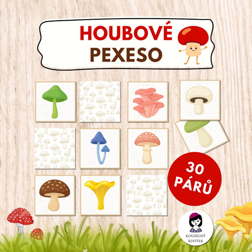 Podzimní pexeso | houbové pexeso | houby | les |