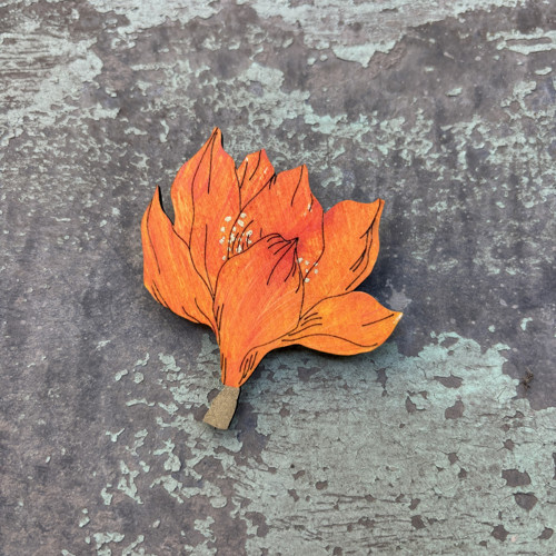 Magnolie — foto 1