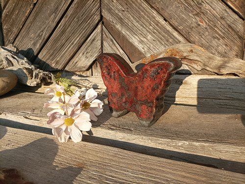 Motýle