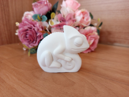 Chameleon k domalování 3D