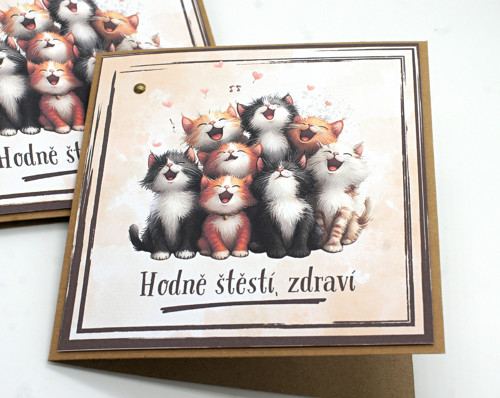 Kočičí přání