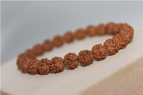 Rudraksha. "Síla přírody" Náramek