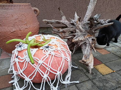 Podzimní ozdoba na dýni