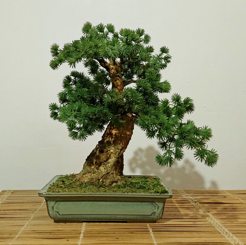 Bonsaj bez údržby, ruční práce "Eien" 40 cm