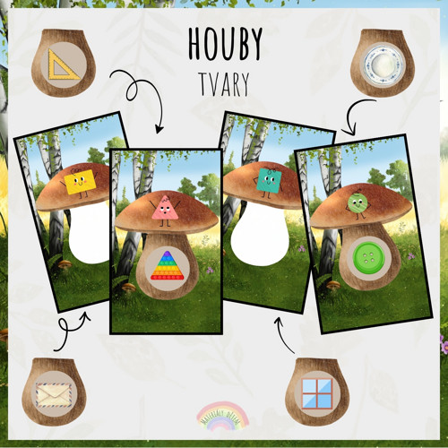 Houby, tvary