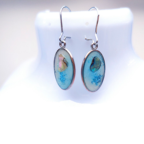Green paua /25209/
