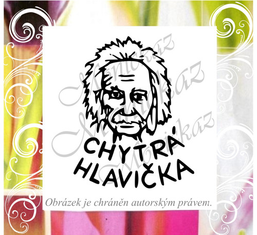 Chytrá hlavička Einstein 303. Razítko motivační.
