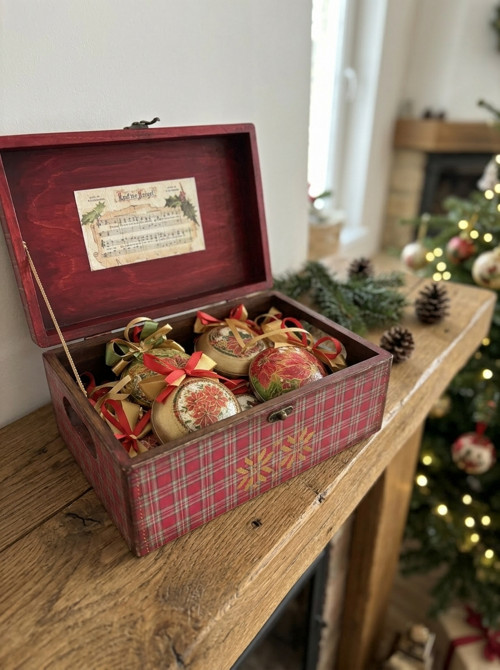Vánoční sada Poinsettia (vánoční hvězda).