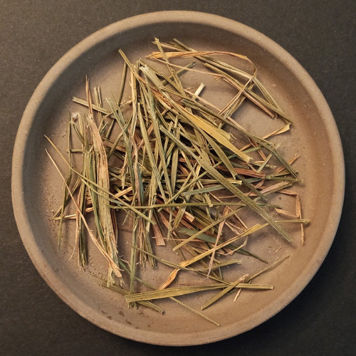 Tomka vonná (10 g)