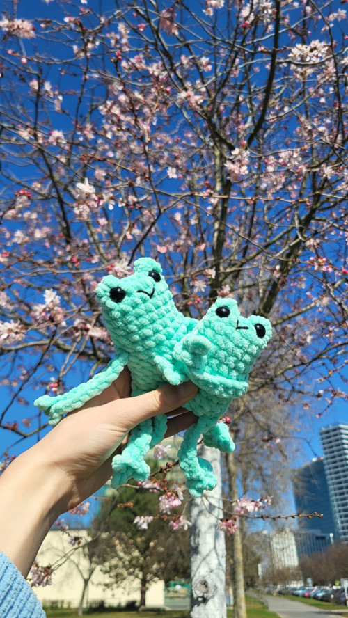 Háčkovaná Leggy frog