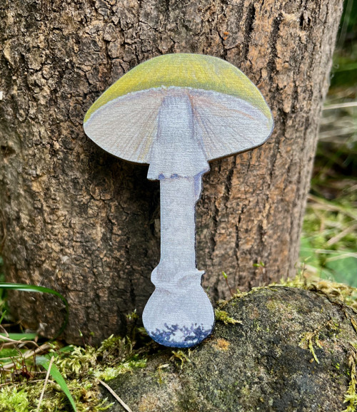 Muchomůrka zelená - dřevěná houba z překližky