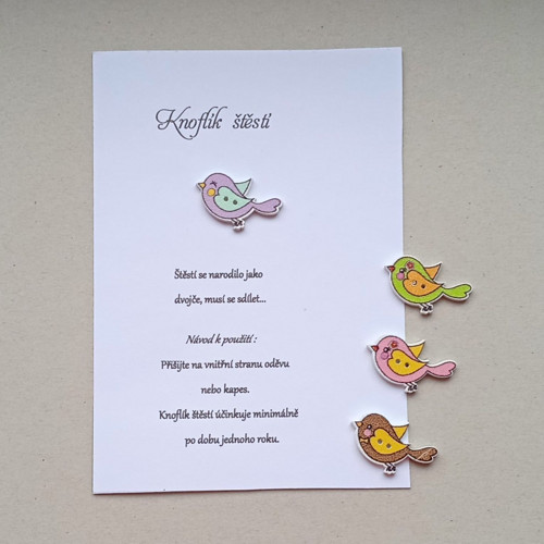 Přání s obálkou-Knoflík pro štěstí ptáček fialový