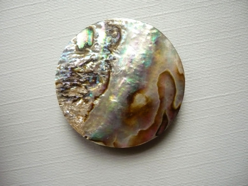 Kabošon - paua mušle 29 mm, č.5f
